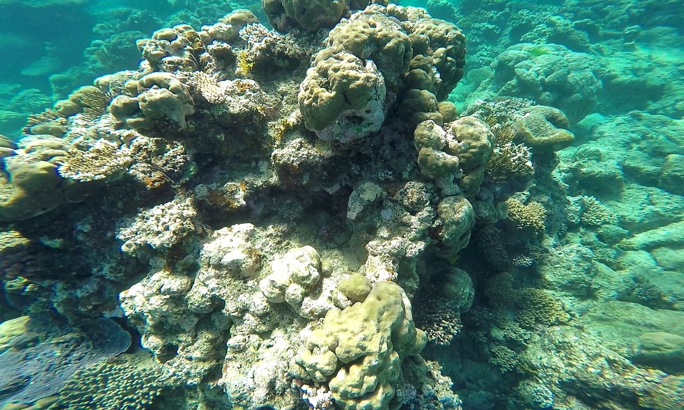 大堡礁坐船多久,去大堡礁玩多少钱