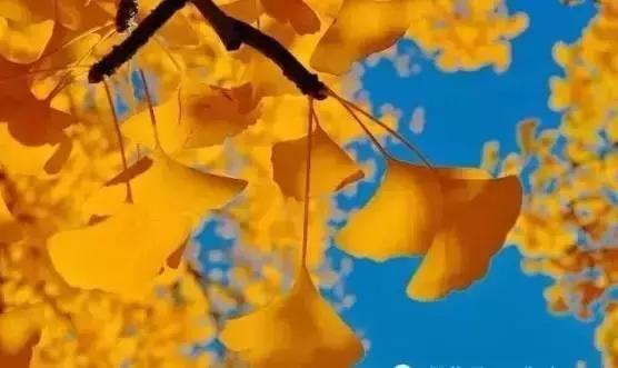 做人要沉稳不要说人坏话,做人不要听别人的闲话要做好自己