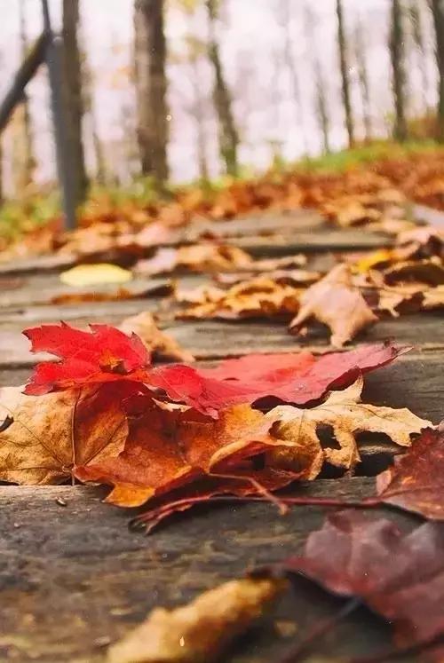 做人要沉稳不要说人坏话,做人不要听别人的闲话要做好自己