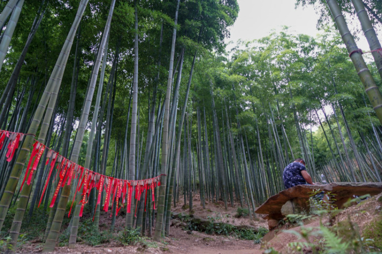 湖州安吉旅游省钱攻略,湖州安吉旅游景点攻略