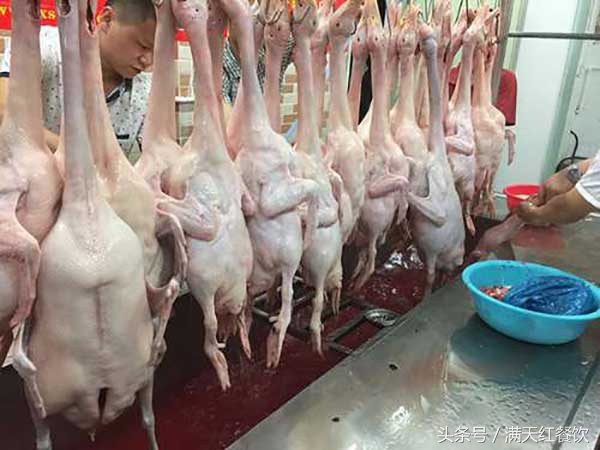 做烧鸭用哪种火炉比较好,燃气烧鸭烤炉火候控制视频