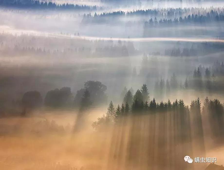 鼻子两侧黑头怎么处理,鼻子上有黑头应该注意些什么