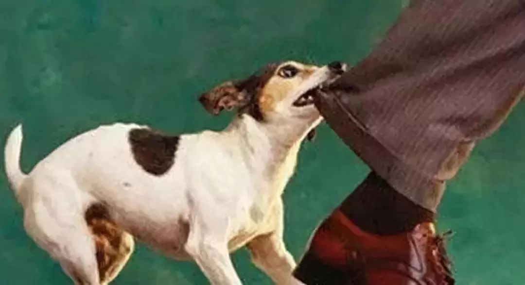 濮阳最近被曝光的小区,最新濮阳新闻报道小区