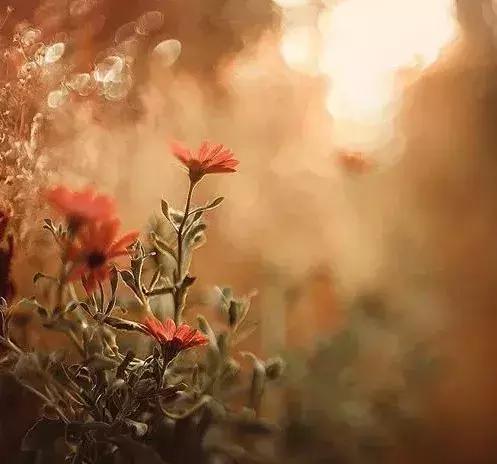 夜读一个人幸福的5种状态,夜读提升幸福感的10个好习惯