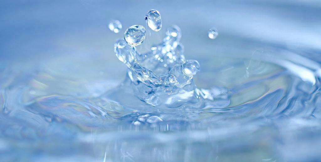 养猫篇-如何把猫养胖养肥养得白白胖胖!