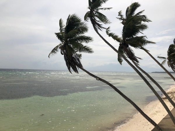 菲律宾自由行住宿雾岛,菲律宾薄荷岛宿务自由行