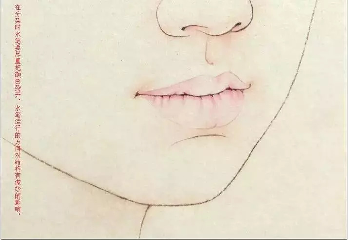 花鸟工笔白描淡彩重彩水彩,古代美女工笔淡彩白描