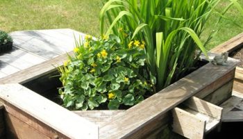 「龟龟环境篇」沼泽过滤(bogfilter):一种原生态水处理技术