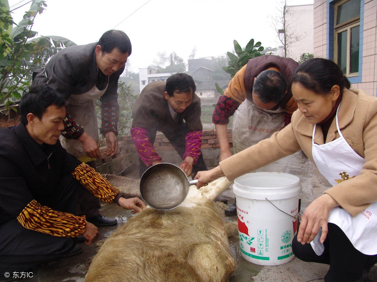 神经性皮炎如何才会痊愈,神经性皮炎的治愈经验
