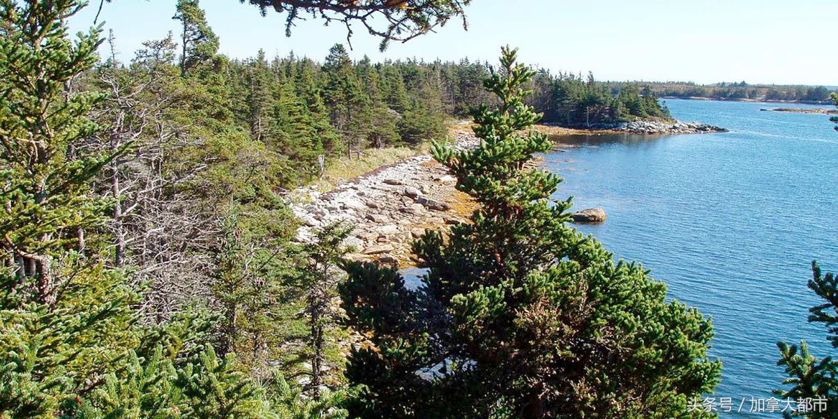 中国网友15万买下加拿大海岛，附送移民身份吗？能做些什么？