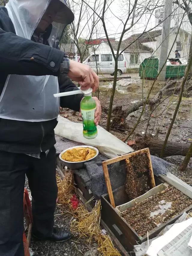 制止偷猎动物,制止盗窃