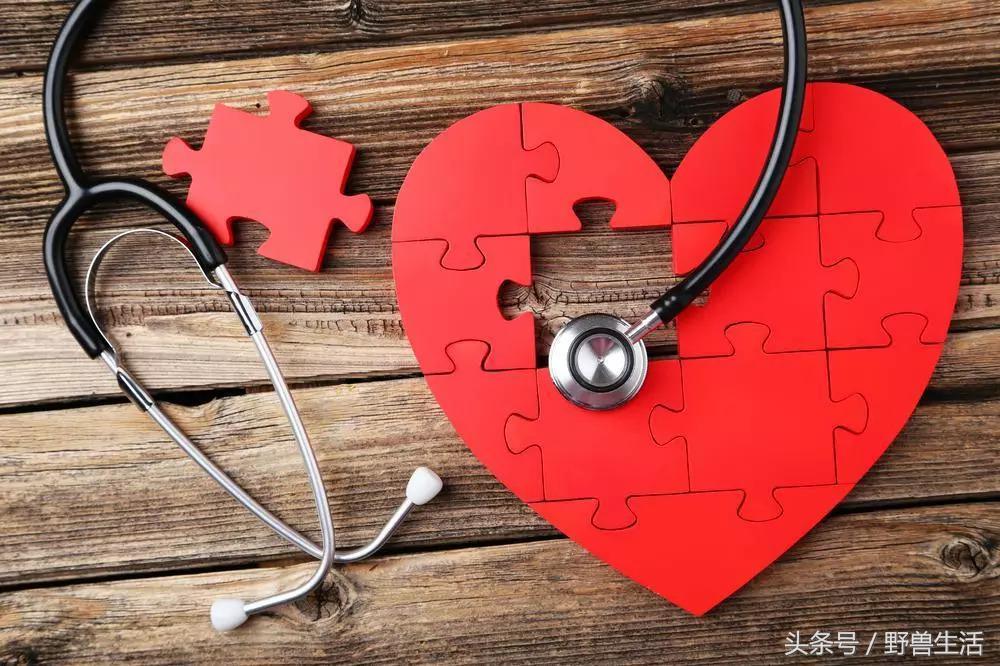 深度营养第十三章,深度营养在线阅读书评