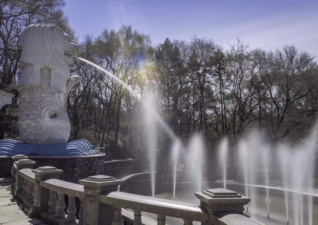 沈阳是哪个省的？已传疯，沈阳人都顶起！