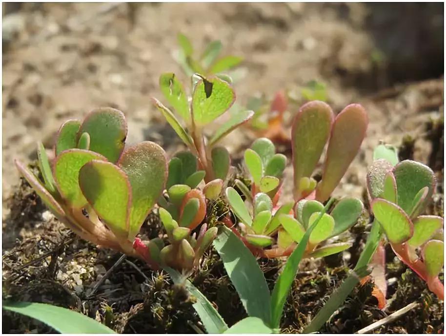 抗生素滥用的危害小科普图片,警惕抗生素滥用的巨大危害