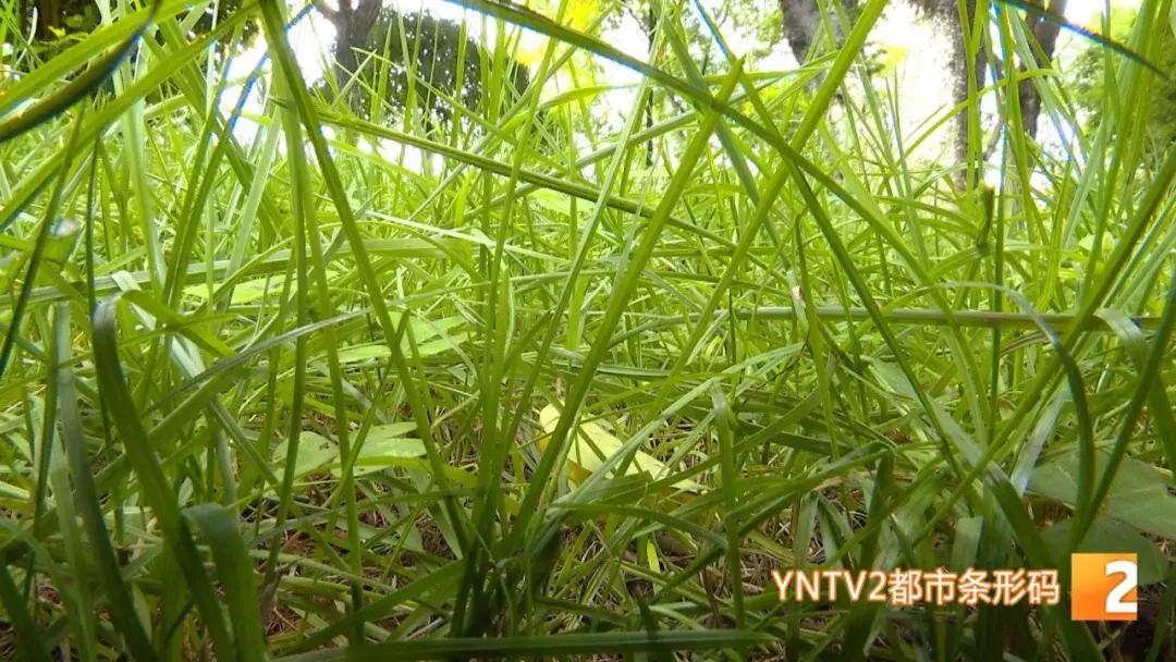 月牙潭公园免费拍照,月牙潭公园收费吗