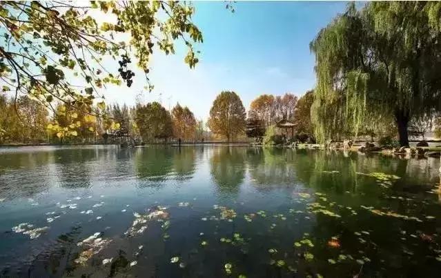 喜欢徐州的100个理由，有你的吗？