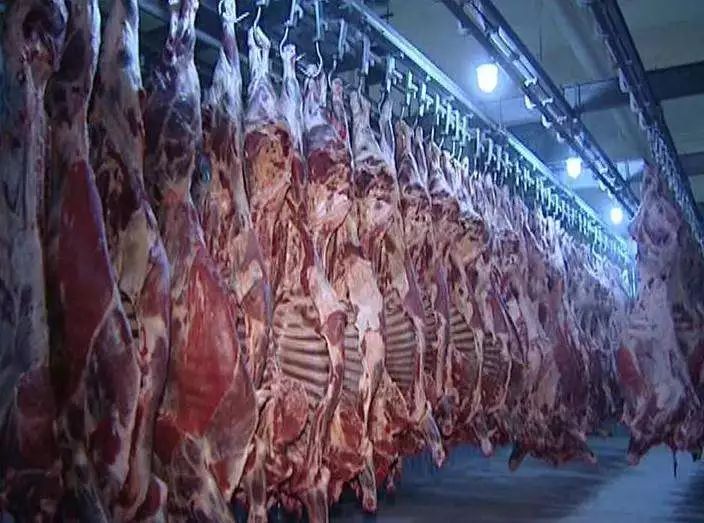 炭疽病最新疫情辽宁,辽宁海城牛庄牛炭疽疫情最新进展