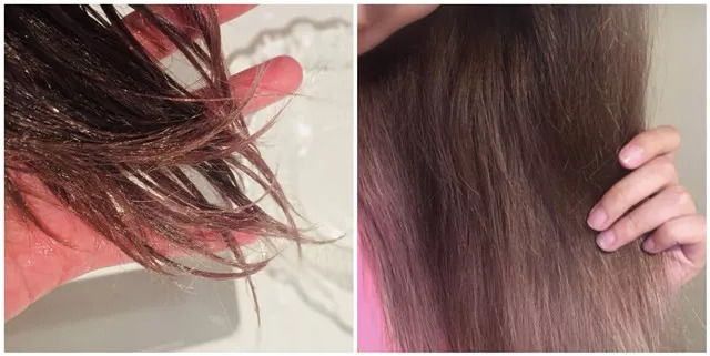 炸毛狗秒变温柔小仙女?沙龙级护发一次成本5块都不要!