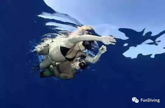 怀孕了潜水有什么影响,准备备孕可以去潜水吗