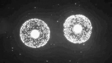 干细胞治疗研究进展和产业分析