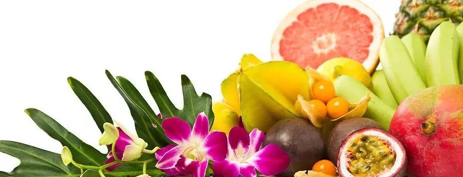 网红不常见的水果,网红水果营养价值表