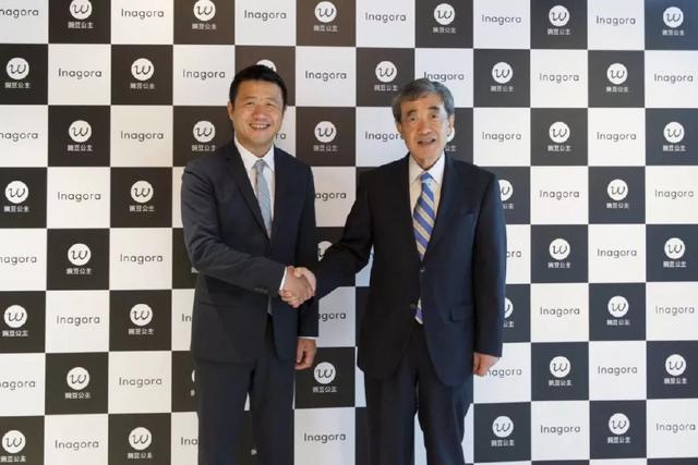 豌豆公主跨境电商平台分析,豌豆公主电商平台