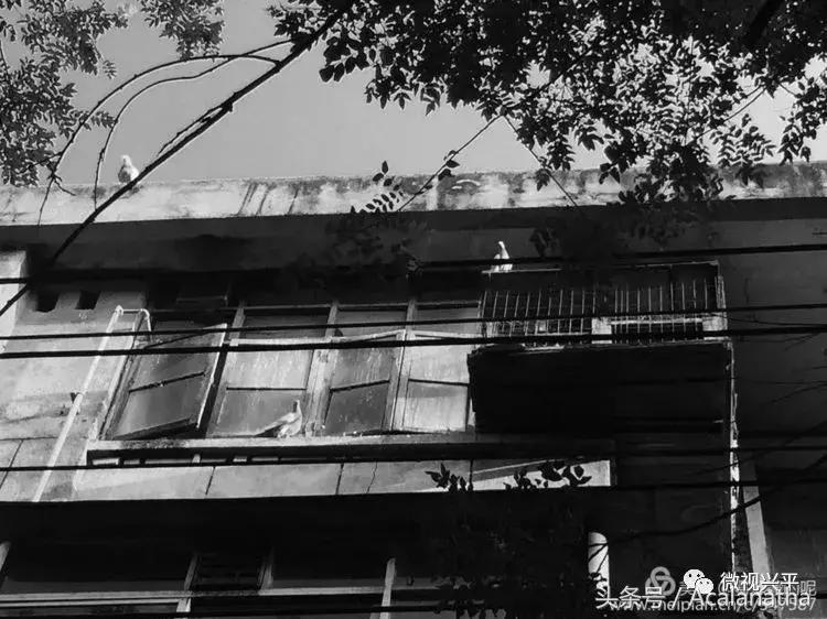 兴平：我的故乡我的云一一70后纤维厂纪事