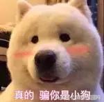 婚前婚后老公颜值差距搞笑对比,老公婚前婚后变化对比视频