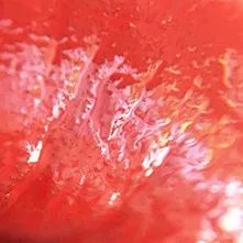 哪款唇釉适合大干唇,2020春夏唇釉最火的几款