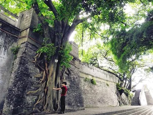 80年代的南宁邕江大桥,邕江大桥记忆