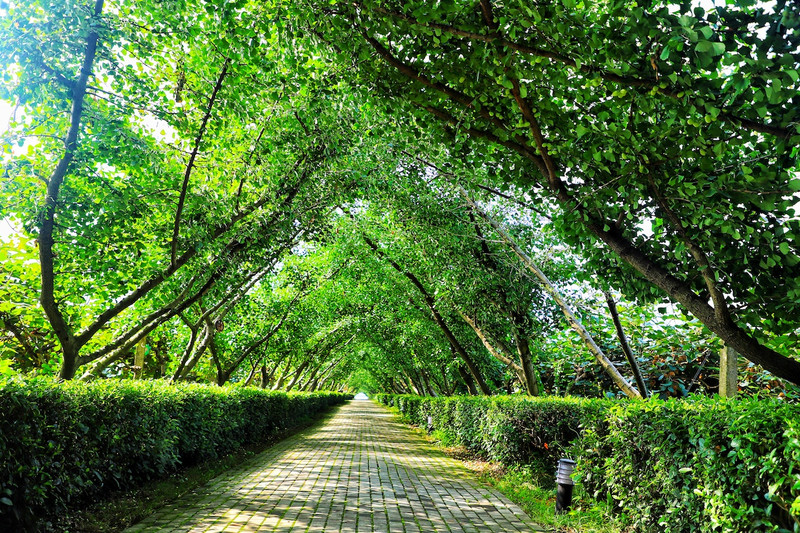 苏皖浙三省交界处,秋冬广德旅游攻略