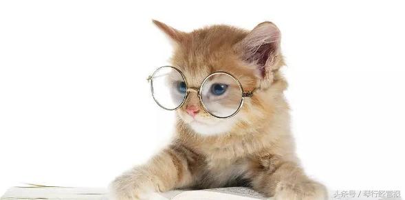 如何购买正品乐器,哪家店才能买到正品乐器