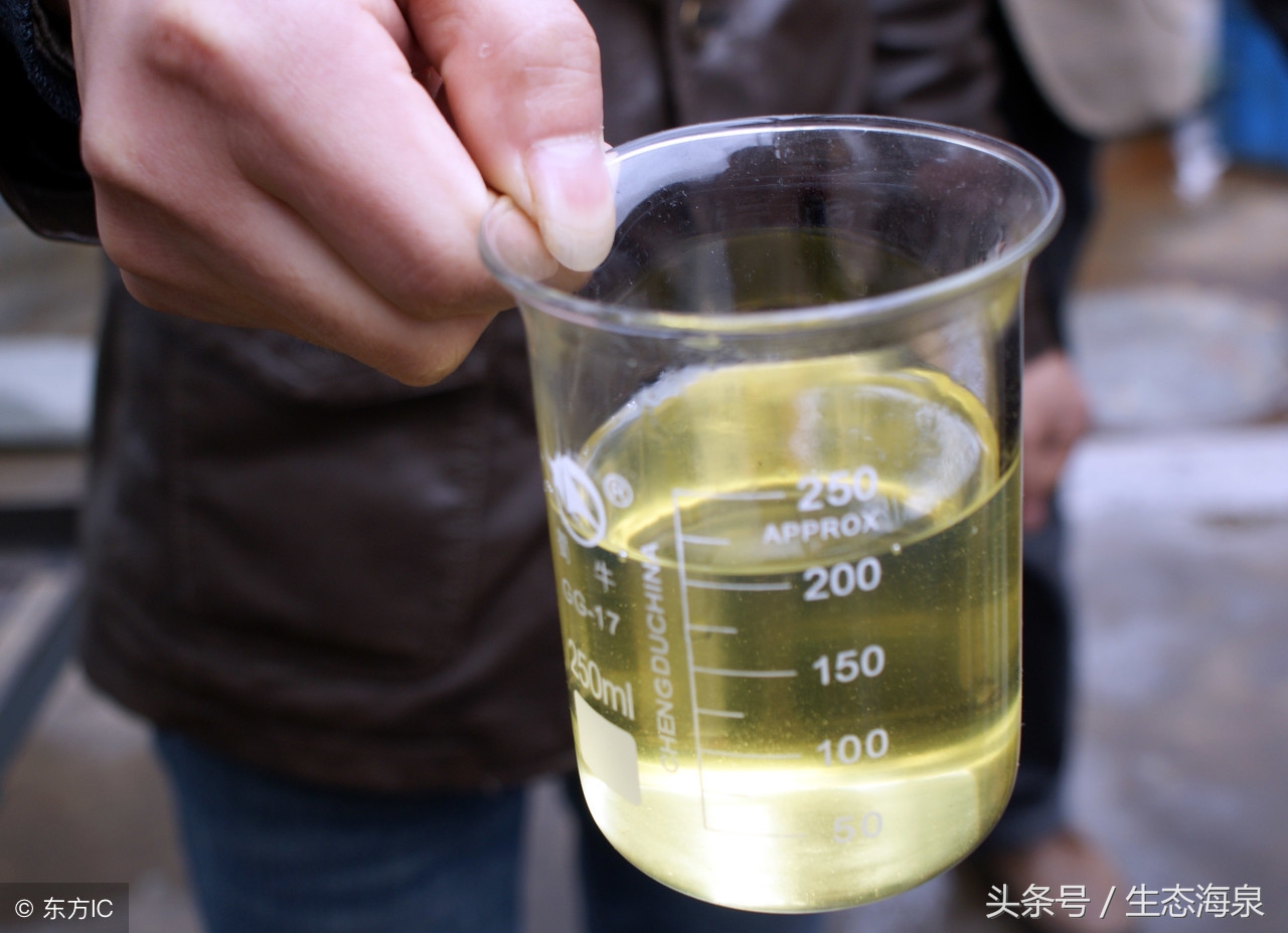 我们常说的地沟油是什么,揭露地沟油的真相