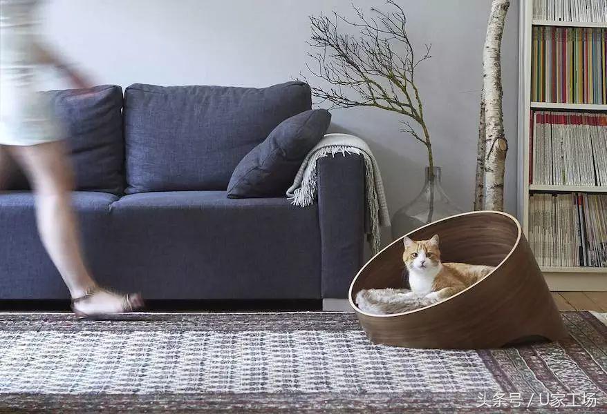 便宜又好用的猫窝有哪些,这六种猫窝你一定买过