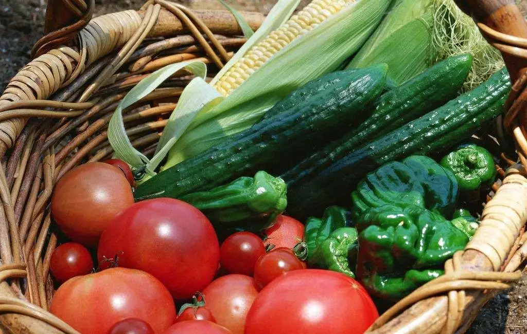 「涨姿势」哎呦羞羞，关于“小蝌蚪”的那些事儿！