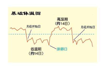 如何有效判断排卵期提高受孕几率,如何准确判断排卵期受孕