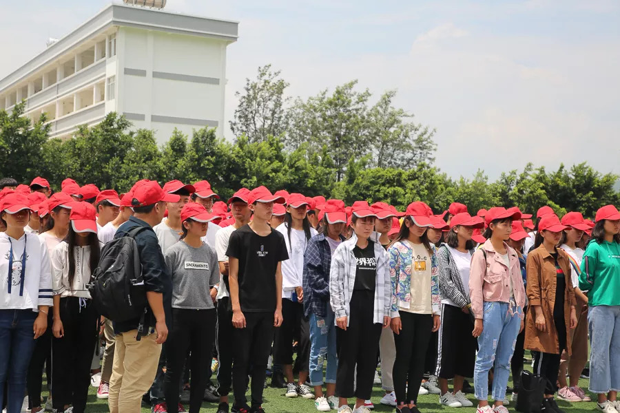 「今日宾川」既学本事还领“高”工资，这种好事给我来“一打”！