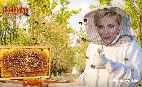 麦卢卡蜂蜜有假的吗,麦卢卡蜂蜜真假辨别官方旗舰店