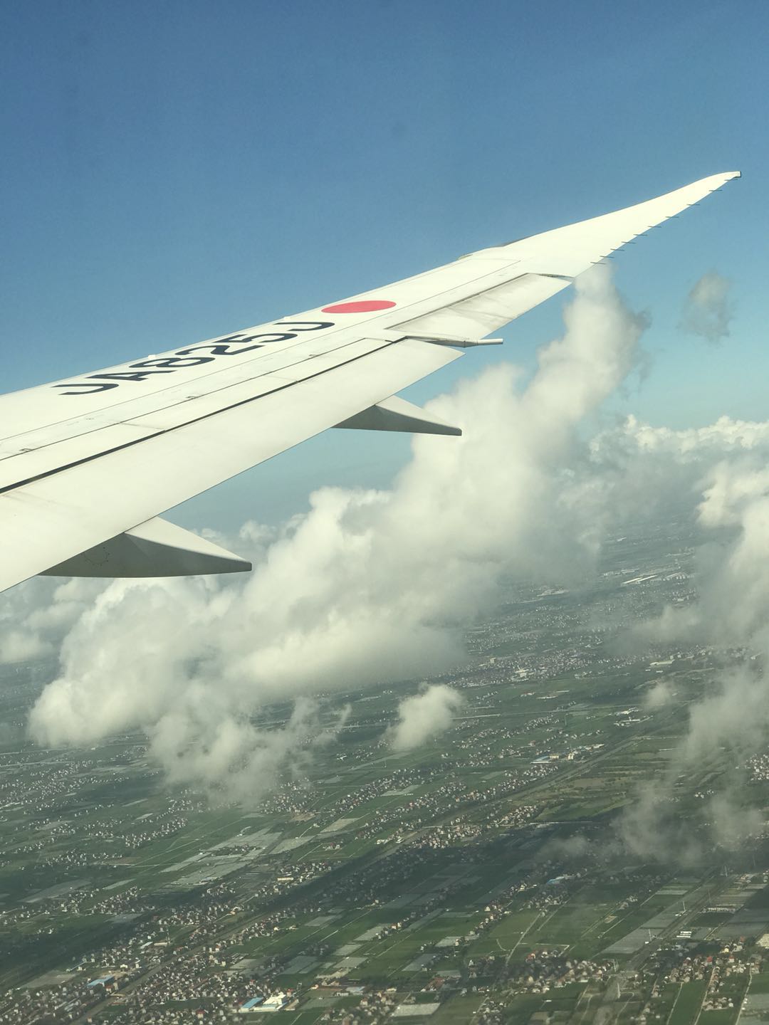 魔都美亚代购,魔都流水账原版