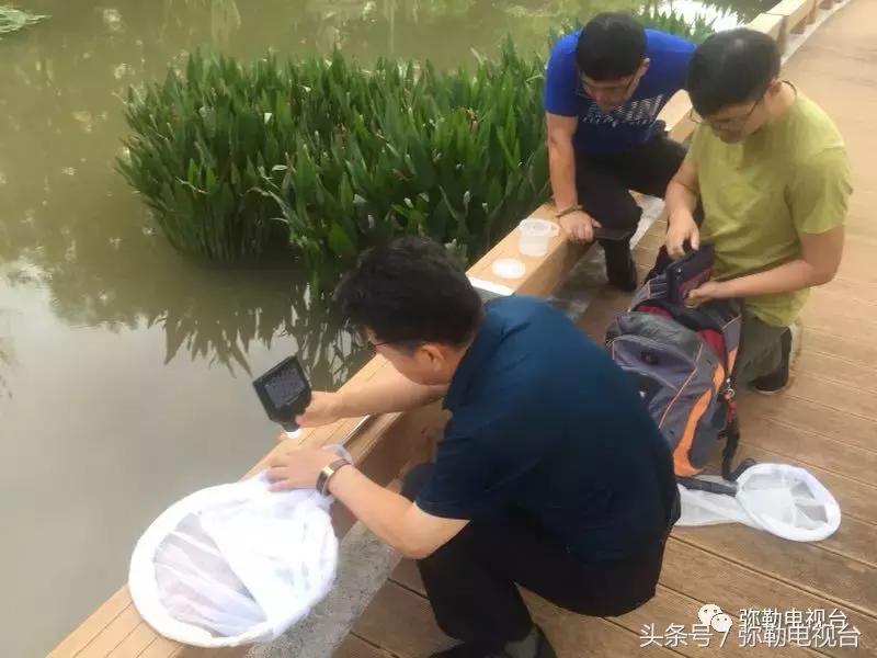 弥勒蚊虫消杀,弥勒病媒消杀