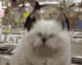 某个app老是断网是怎么回事,什么app能断网