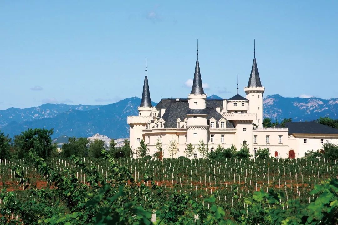 原来《西红柿首富》里的古堡就在你身边