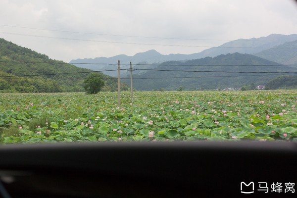 六小爷,六小爷唱的歌