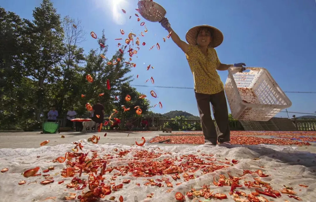 秀美乡村江西,秀美乡村活动视频