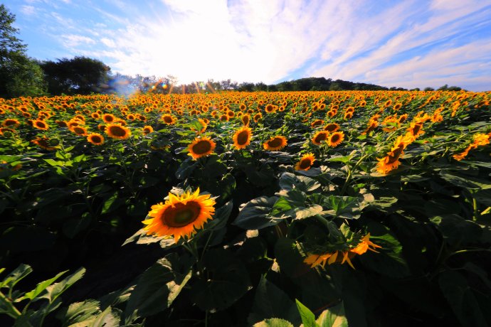 莲花山转播台,莲花山上央视