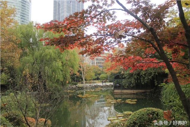 上海值得一去的18个公园,上海免费公园景点推荐