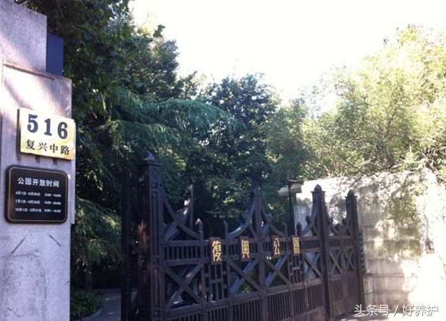 上海值得一去的18个公园,上海免费公园景点推荐