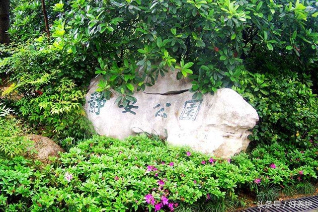 上海值得一去的18个公园,上海免费公园景点推荐