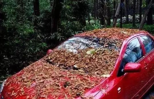 汽车上面的小孔有什么用,开了这么多年的车感觉怎么样