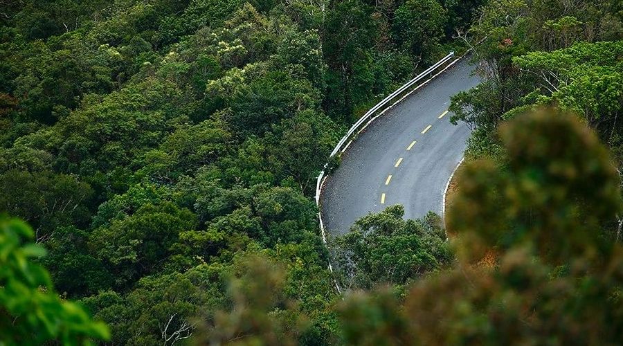 三亚鸟巢森林树屋酒店视频,三亚鸟巢度假村酒店攻略